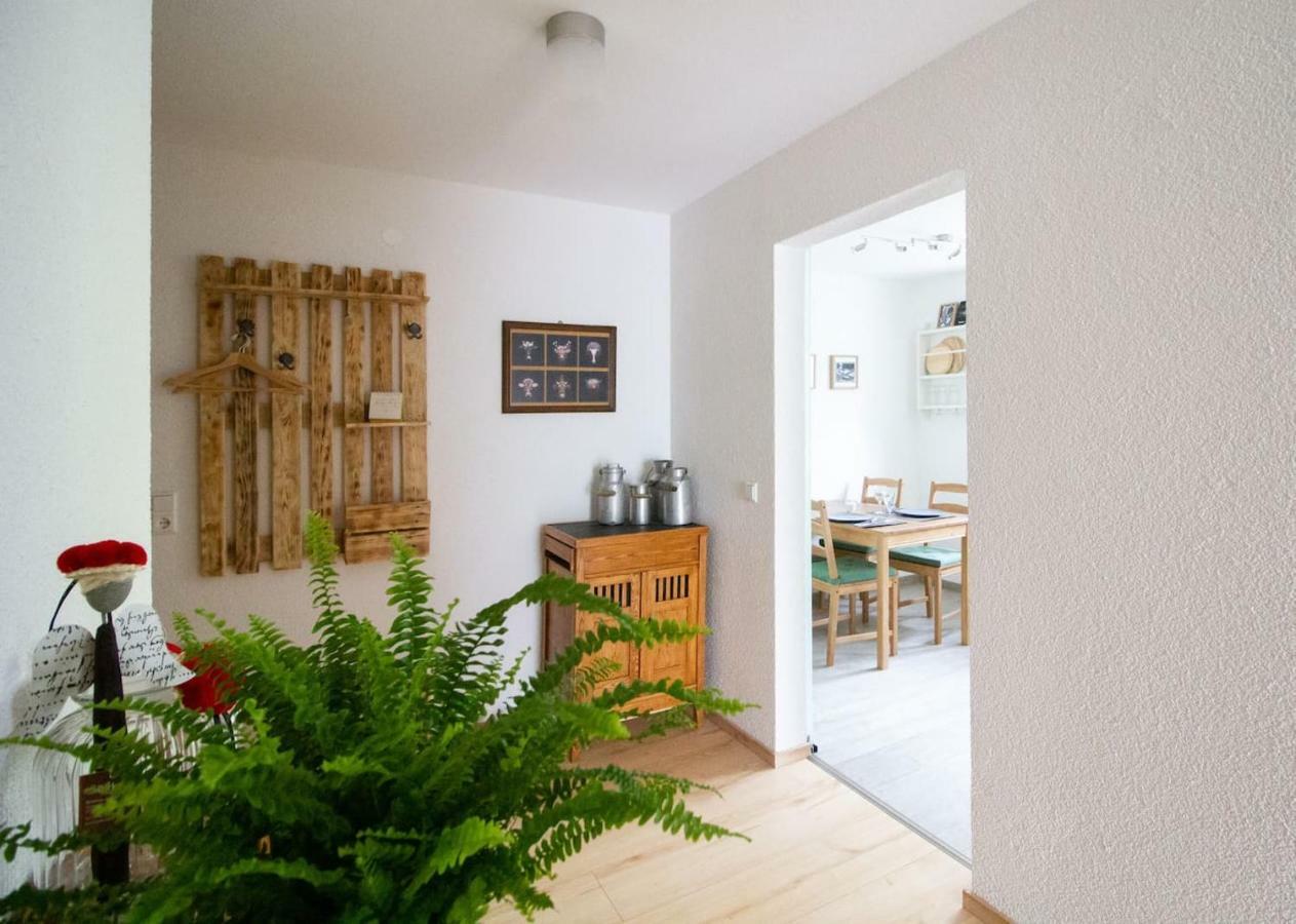 Schoene Und Helle Ferienwohnung In Pfaffenweiler Філлінген-Швеннінген Екстер'єр фото